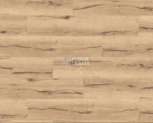 Ламинат Haro Tritty 100 Campus 4V ДУБ ИТАЛИКА КРЕМОВЫЙ 532060 фото 1 | FLOORDEALER